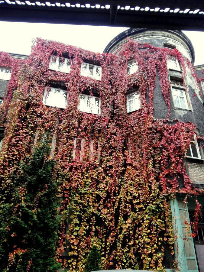 Bristol Economy Bed & Breakfast บือตอม ภายนอก รูปภาพ